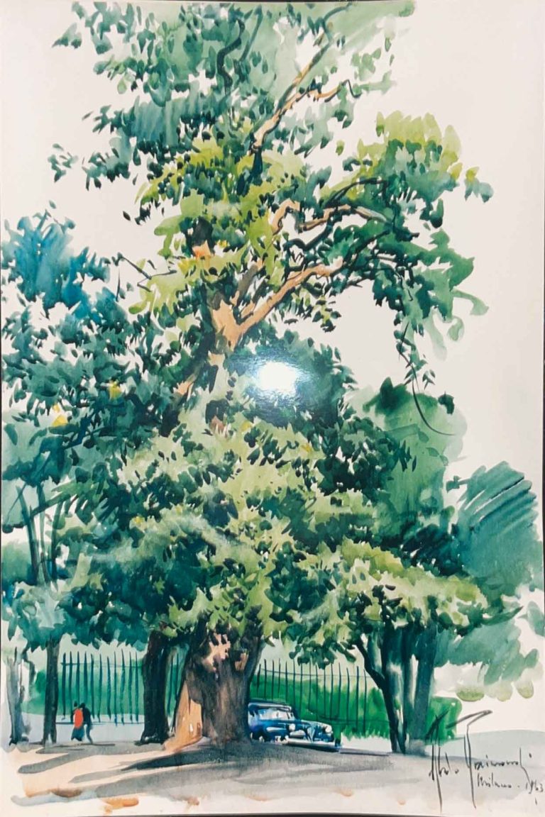 Parco – Acquerello – 50×70