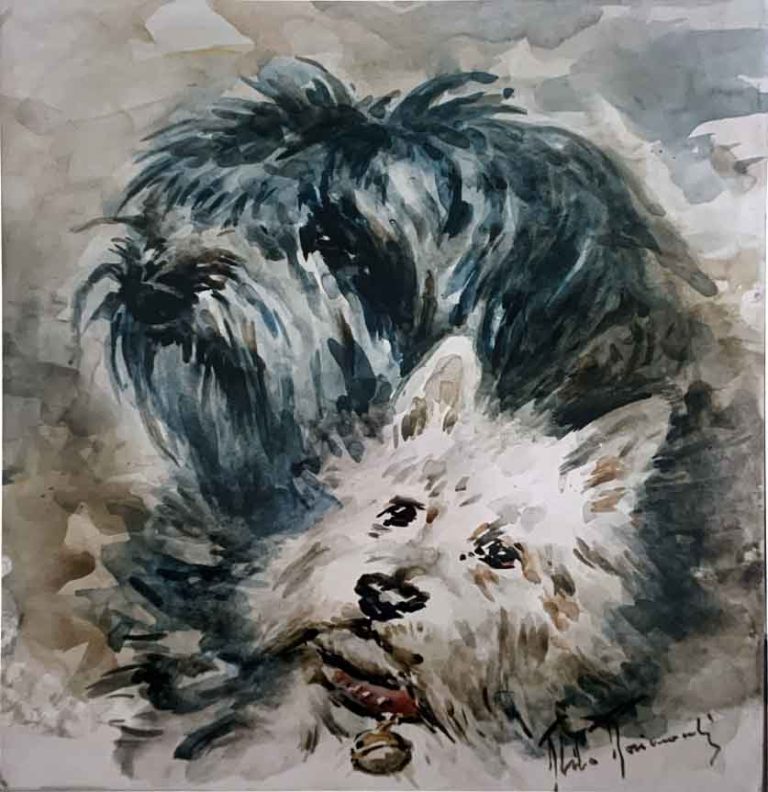 Cani – Acquerello – 35×50