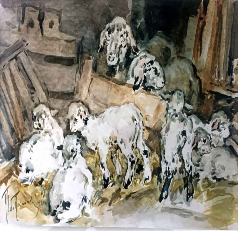 Nell’ovile – Acquerello – 50×70