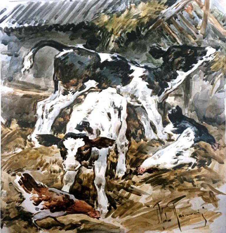 Vitelli con galline – Acquerello – 35×50